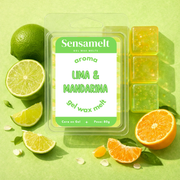 Lima & Mandarina – Wax Melt de Gel