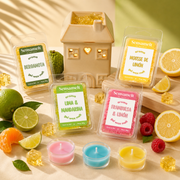 Pack Deseo Cítrico (4 melts + quemador + velas de té)